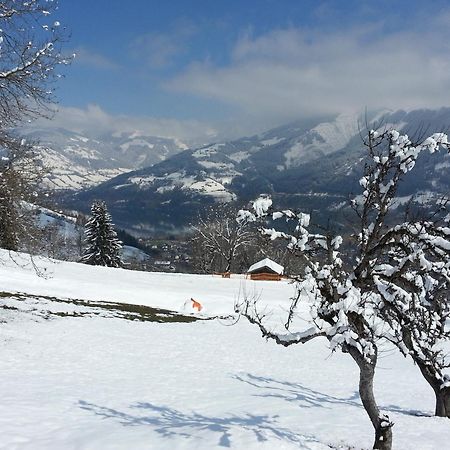 Ferienwohnung Mitterleithengut Zell am See Exteriör bild