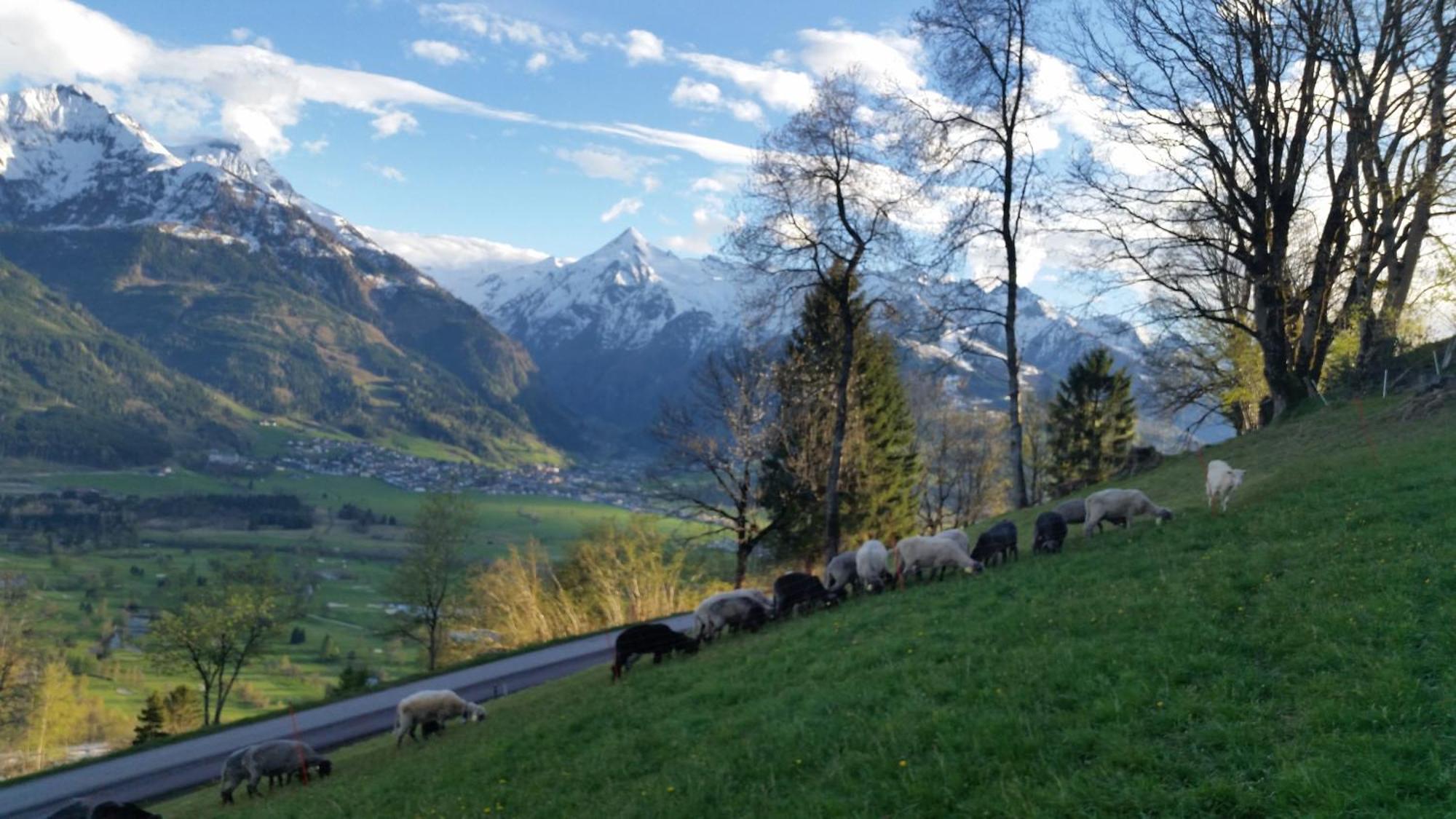 Ferienwohnung Mitterleithengut Zell am See Exteriör bild
