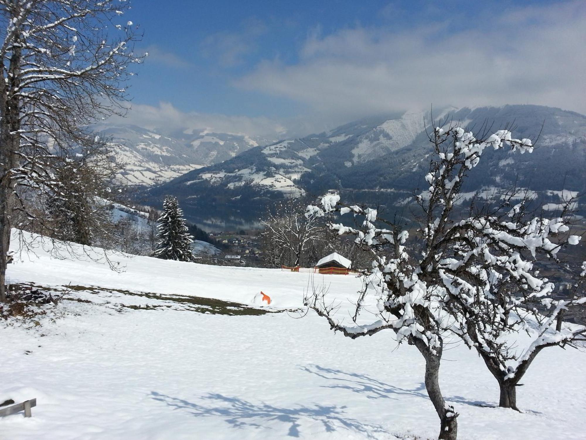 Ferienwohnung Mitterleithengut Zell am See Exteriör bild