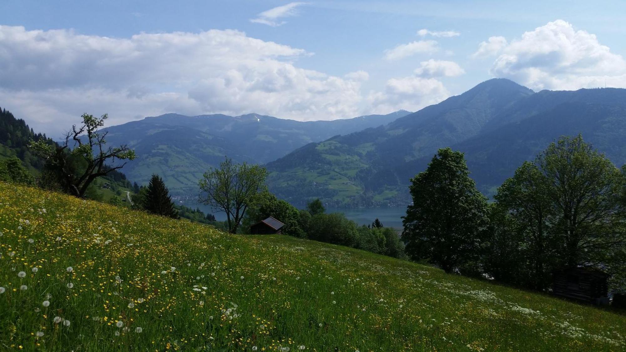 Ferienwohnung Mitterleithengut Zell am See Exteriör bild