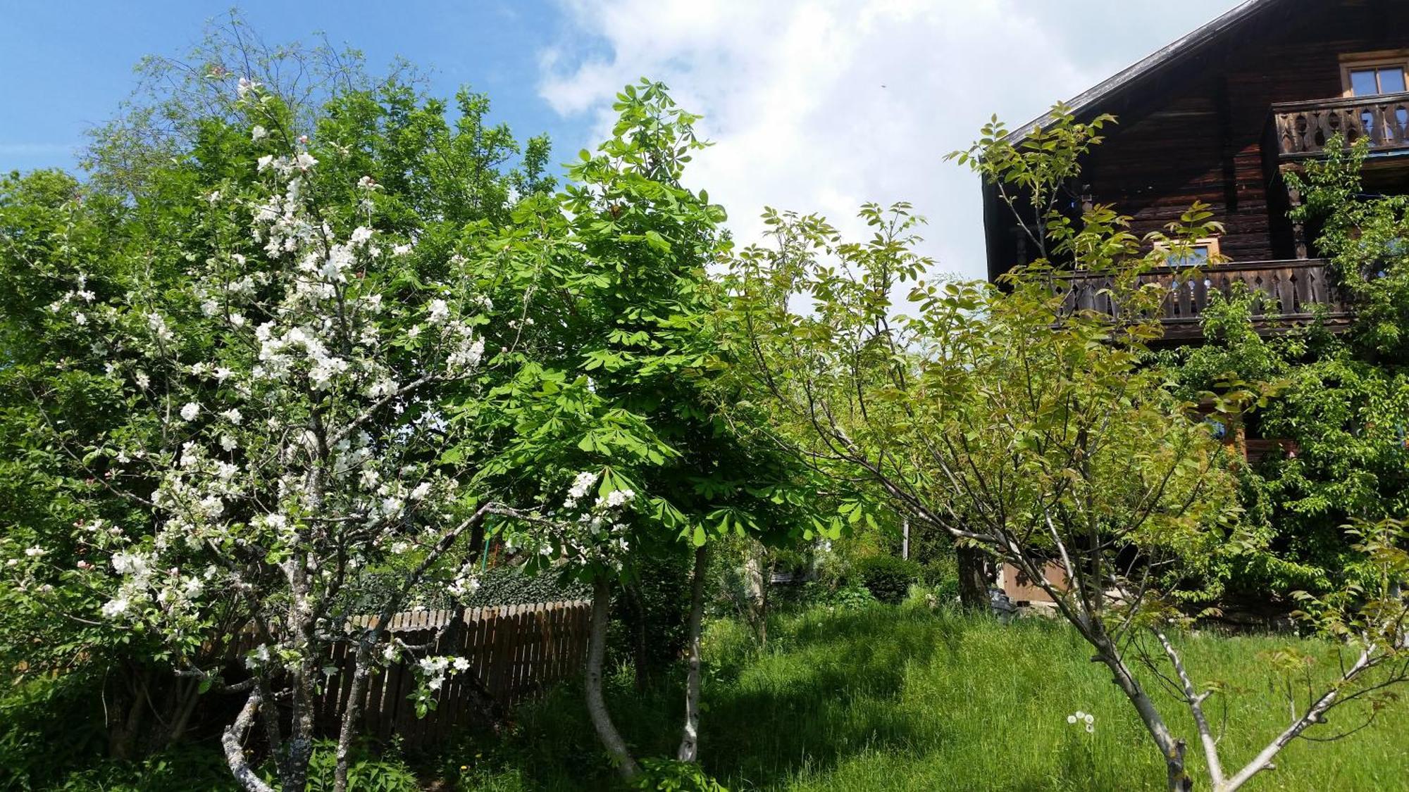 Ferienwohnung Mitterleithengut Zell am See Exteriör bild